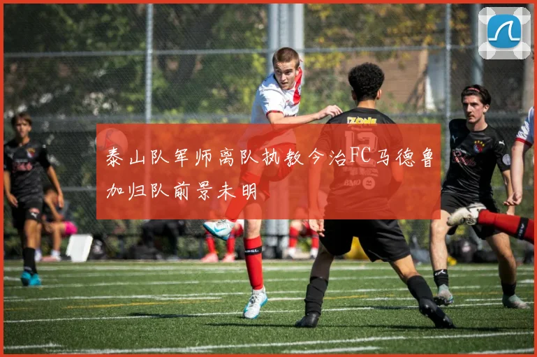 泰山队军师离队执教今治FC马德鲁加归队前景未明