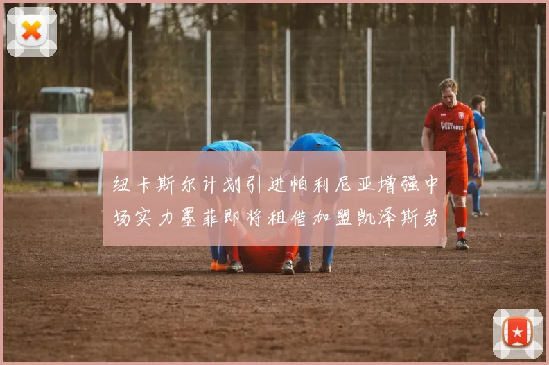 纽卡斯尔计划引进帕利尼亚增强中场实力墨菲即将租借加盟凯泽斯劳滕
